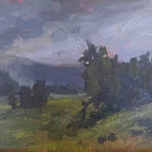 Home steigerwald storm